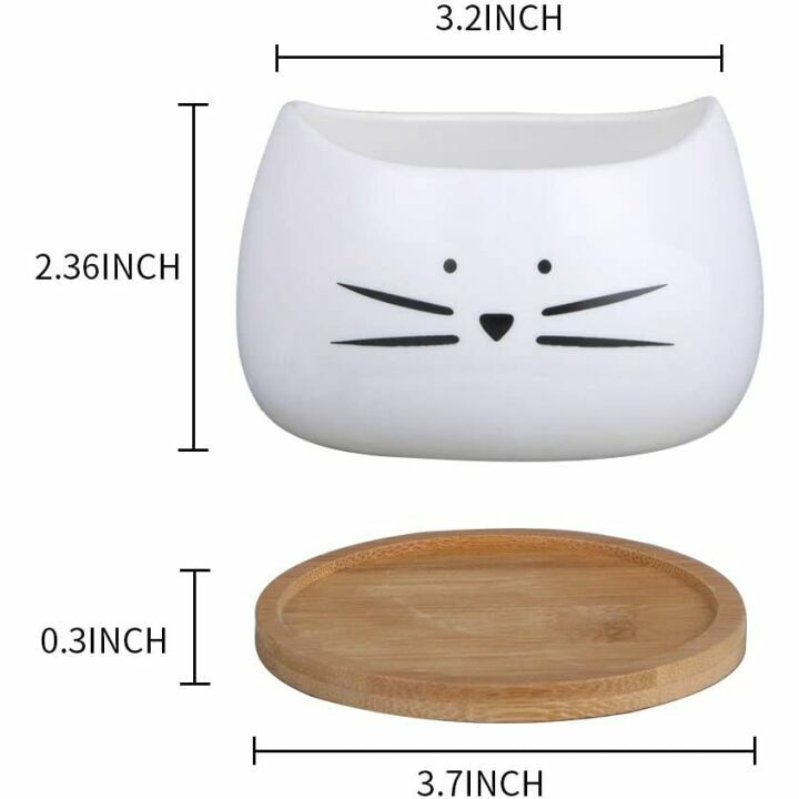 Cute Cat Ceramic Succulent Planter Pots Set of 3