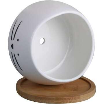 Cute Cat Ceramic Succulent Planter Pots Set of 3