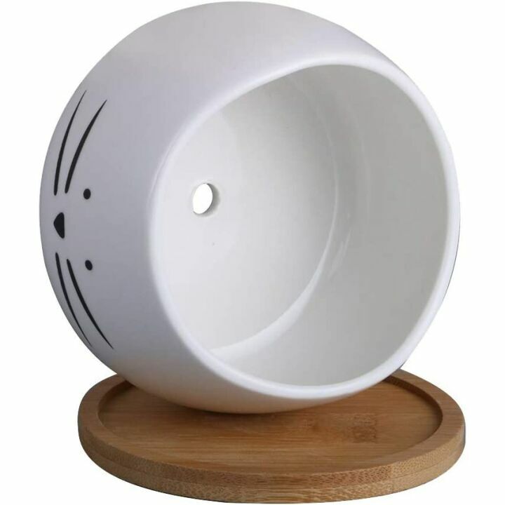 Cute Cat Ceramic Succulent Planter Pots Set of 3