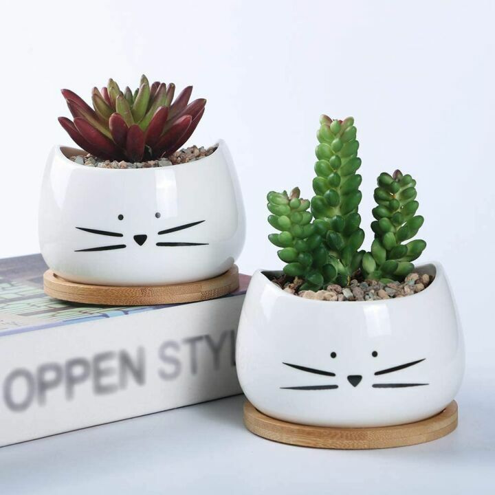 Cute Cat Ceramic Succulent Planter Pots Set of 3