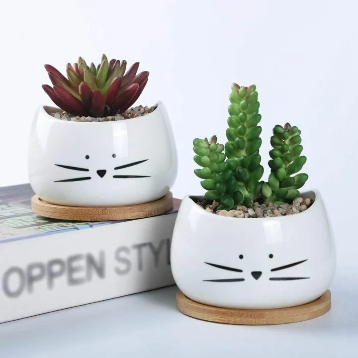 Cute Cat Ceramic Succulent Planter Pots Set of 3