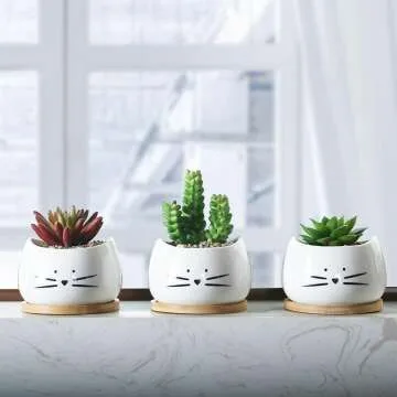 Cute Cat Ceramic Succulent Planter Pots Set of 3