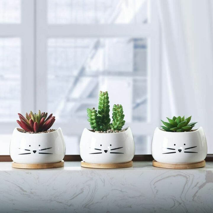 Cute Cat Ceramic Succulent Planter Pots Set of 3