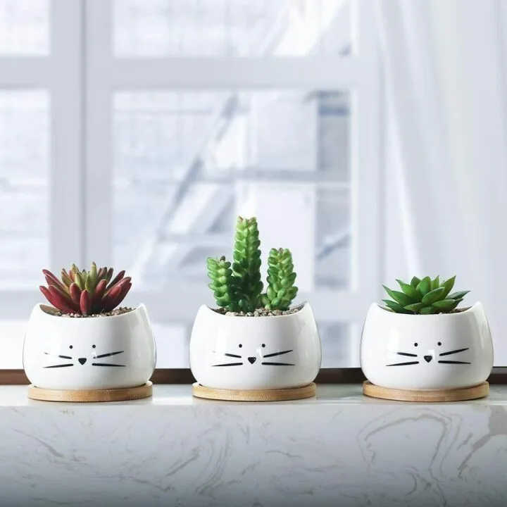 Cute Cat Ceramic Succulent Planter Pots Set of 3
