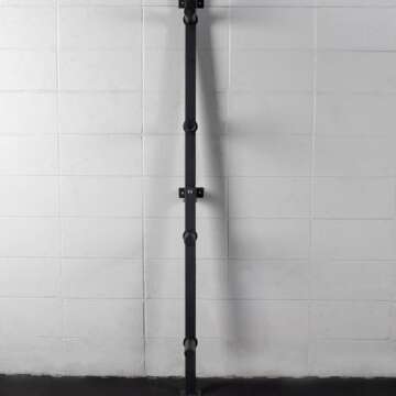 Titan Fitness Weight Plate Wall Mounted Storage Rack, Angled 4-Peg Design, Olympic Sized Weight Plate Organizer, Rated 800 LB, Anchored Wall Mounted Storage