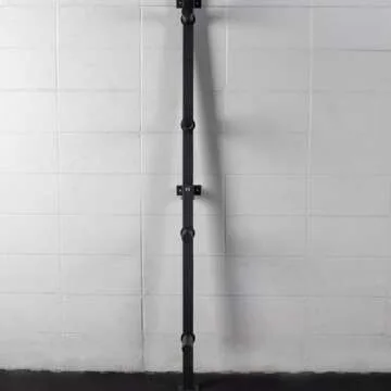 Titan Fitness Weight Plate Wall Mounted Storage Rack, Angled 4-Peg Design, Olympic Sized Weight Plate Organizer, Rated 800 LB, Anchored Wall Mounted Storage