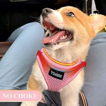 YIMEIS Dog Harness and Leash Set, No Pull Soft Mesh Pet Harness, Reflective Adjustable Puppy Vest fo...