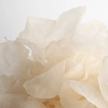 Hydrating SUPEREGG Calm Movements Eye & Cheek Mask