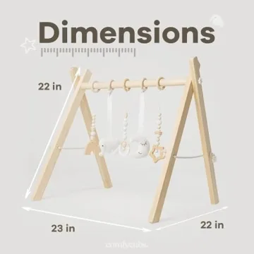 Comfy Cubs Baby Play Gym Set - Safe & Stylish Infant Activity Center