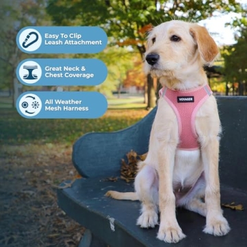 Voyager Step-in Air Dog Harness & Leash Combo
