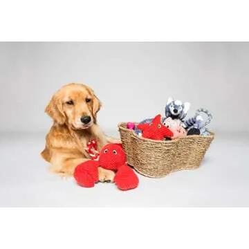 Stylish Bone-Shaped Dog Toy Basket for Pets