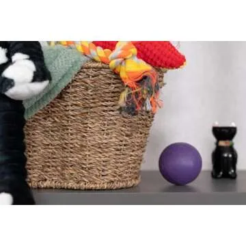 Stylish Bone-Shaped Dog Toy Basket for Pets