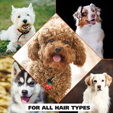 Wahl 4-in-1 Calming Shampoo for Dogs - Cleans & Moisturizes