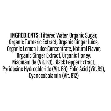 Turmeric Time Turmeric Shots - Turmeric with Ginger, Citrus & Honey | Non-GMO | No Preservatives or Artificial Flavors/Colors/Sweeteners | B Vitamins | Liquid Turmeric (12 Pack)