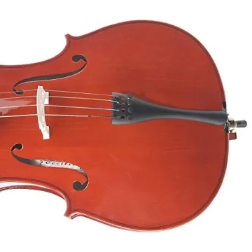 Cecilio CCO-600 Full Size Cello with accessories and case
