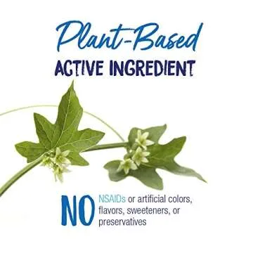 Boiron Bryonia 30C for Joint Pain Relief - 80 Count