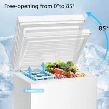 R.W.FLAME 2.8 Cu. Ft. Chest Freezer for Efficient Storage