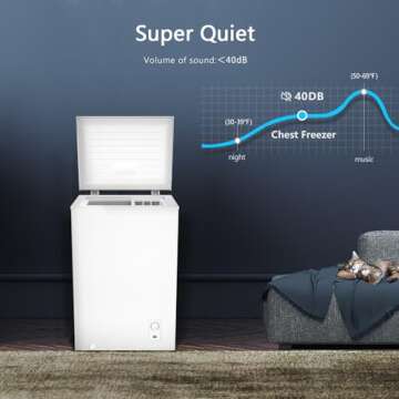 R.W.FLAME 2.8 Cu. Ft. Chest Freezer for Efficient Storage