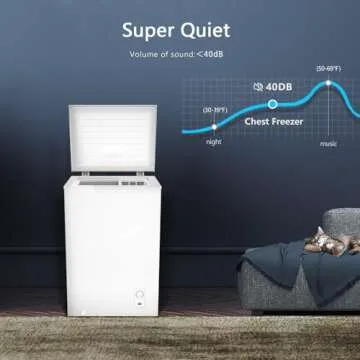 R.W.FLAME 2.8 Cu. Ft. Chest Freezer for Efficient Storage