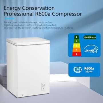 R.W.FLAME 2.8 Cu. Ft. Chest Freezer for Efficient Storage