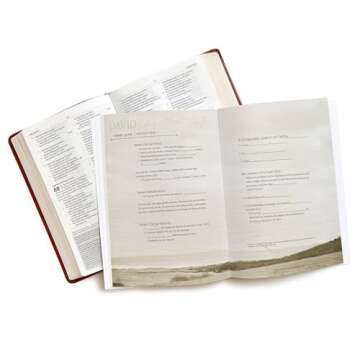 David Bible Study Book - Seeking a Heart Like His