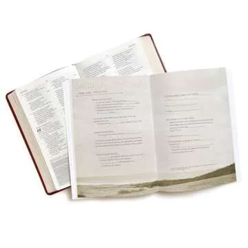 David Bible Study Book - Seeking a Heart Like His