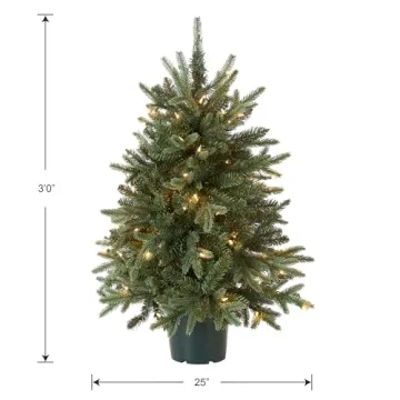 National Tree Company 3 ft Christmas Tree with Lights