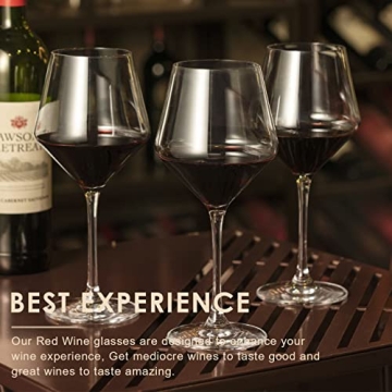 Coccot Wine Glasses Set of 6 - Premium Lead-Free Crystal