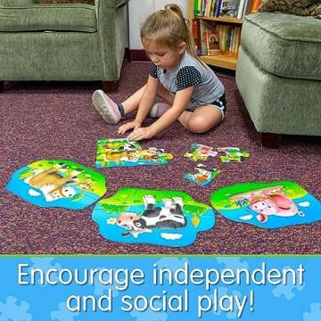 Vibrant Educational Puzzles for Toddlers - 4-in-Box Set