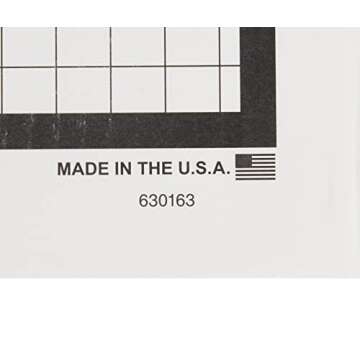 SSWBasics 17" x 22" Disposable Floor Mats for Vehicles