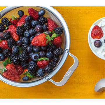 Durable 9-Inch Fine Mesh Strainer for Quinoa and Cooking