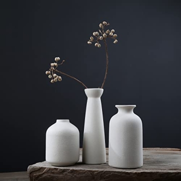 Napormot Ceramic Vases Set for Elegant Home Decor