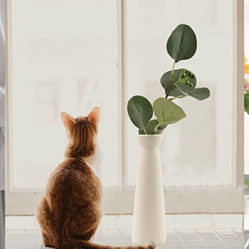 Napormot Ceramic Vases Set for Elegant Home Decor