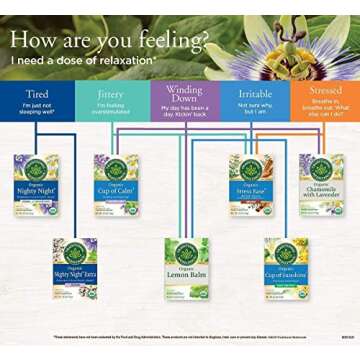 Traditional Medicinals Organic Chamomile & Lavender Herbal Tea, Settles Nervous System, (Pack of 2) - 32 Tea Bags Total