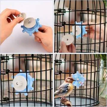 PEUTIER Parrot Spinner Toy for Interactive Fun