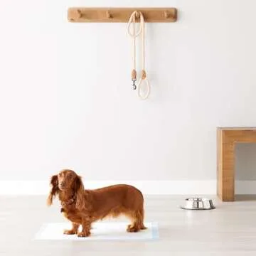 Amazon Basics Dog and Puppy Pee Pads with 5-Layer Leak-Proof Design and Quick-Dry Surface for Potty Training, Heavy Duty Absorbency, Regular, 24 x 23 Inch, Regular (80 Count), Blue & White