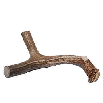 XL Deer Antler Dog Chew - Jumbo, All-Natural Treat for Large Dogs