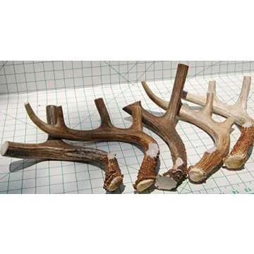 Durable XL Deer Antler Dog Chew for Aggressive Chewers