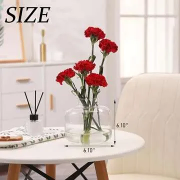 PORPAN Short Glass Vase, Short Flower Vase, Round Glass Vase, Small Glass Vase for Flowers, Clear Glass Flower Vase, 6 Inch Vase for Living Room, Dining Table, Wedding, Bookshelf, Office Decoration