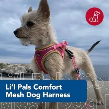 Coastal Pet Li'l Pals Comfort Mesh Dog Harness - No-Pull Step-in for Small Dogs & Puppies - Pink Bri...
