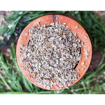 Food to Live Dill Seeds Whole 2 Pounds Bulk Kosher