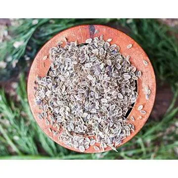 Food to Live Dill Seeds Whole 2 Pounds Bulk Kosher