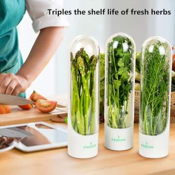 Cilantro Container for Fridge - Herb Saver - Herb Keeper for Refrigerator - Herbs Container for Fridge - Scallion Keeper - Conservador de Hierbas Para Refrigerador - Mint Holder - Asparagus Storage