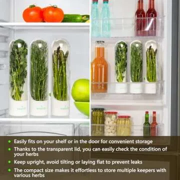 Cilantro Container for Fridge - Herb Saver - Herb Keeper for Refrigerator - Herbs Container for Fridge - Scallion Keeper - Conservador de Hierbas Para Refrigerador - Mint Holder - Asparagus Storage