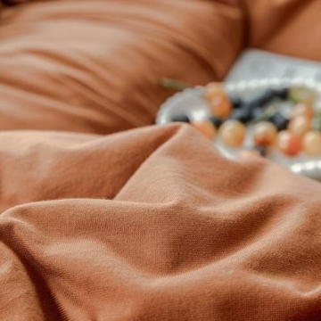 Soft Jersey Knit Cotton Pumpkin Duvet Cover Set for Comfort