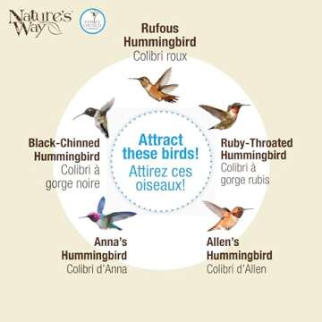 Nature's Way Bird Products Mason Jar Hummingbird Dish Feeder - Clear 4.5" Dia.