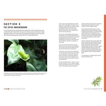 Grow Your Own Spices: Harvest homegrown ginger, turmeric, saffron, wasabi, vanilla, cardamom, and other incredible spices -- no matter where you live!