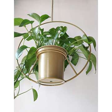 RISEON Boho Gold Metal Plant Hanger,Metal Round Hanging Planter, Modern Planter, Mid Century Plant H...