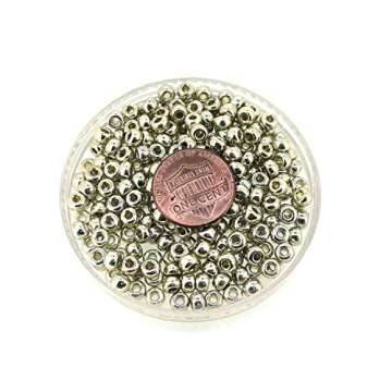 Miyuki Silver 20G 6/0 Seed Beads for Crafting and Jewelry