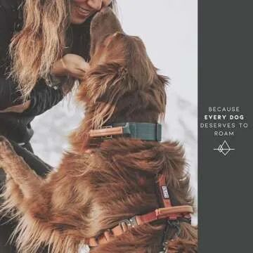 Made to ROAM Premium Dog Collar - Adjustable Heavy Duty Nylon Collar with Quick-Release Metal Buckle (Maine Marina, Classic Size 4)